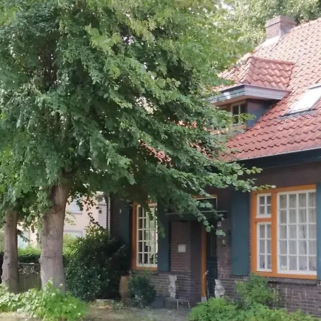 B&B Bij Bijnen-2